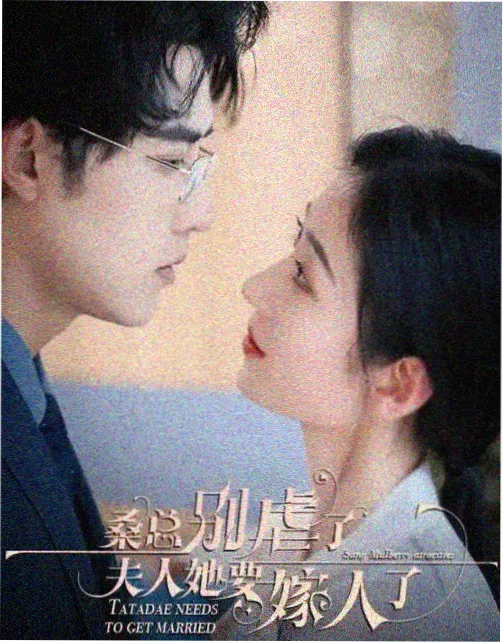 林北苏婉人物关系梳理资讯配图